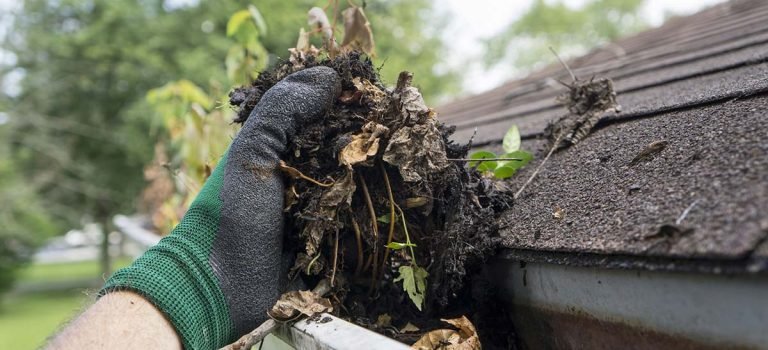 clogged-gutter-on-shingle-roof